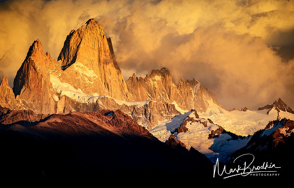 Golden Giant