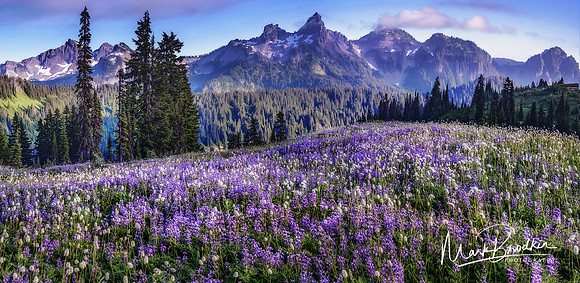 Tatoosh2_Web