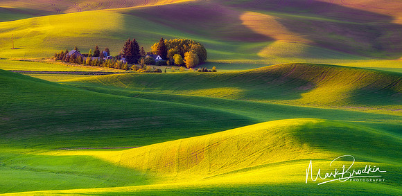 Morning_House7_Web