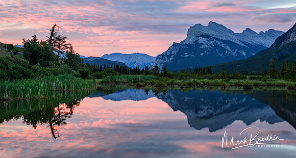 MB_Photography-1