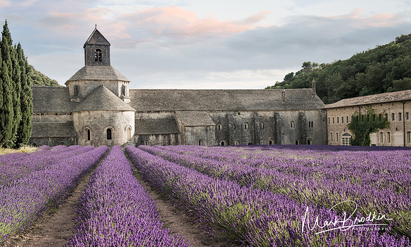The Violet Abbey