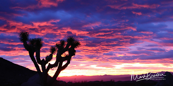 Canyons and Deserts (6 of 49)_Web