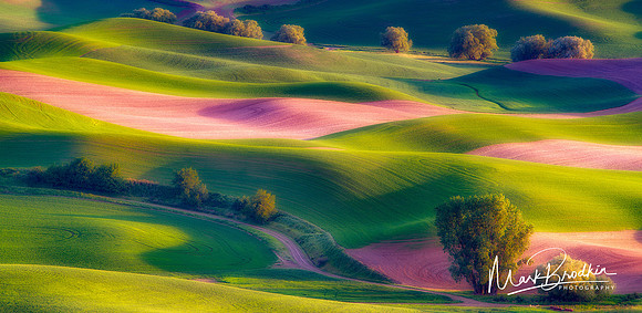 Palouse_Ribbons14_Web