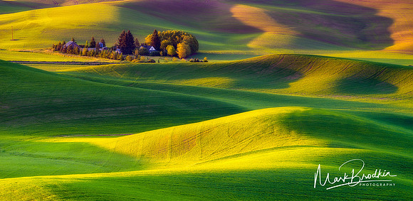 Morning_House7_Web-2