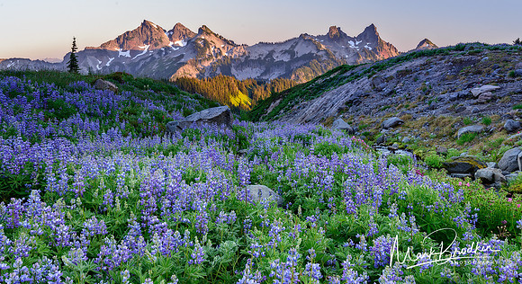 Tatoosh4_Web