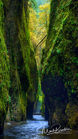 The Gorge