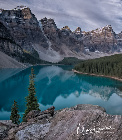Northern Beauty