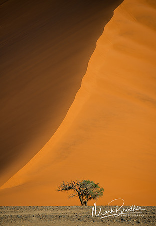 Solitude