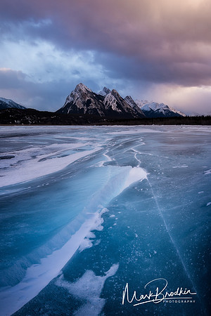 Frozen Beauty