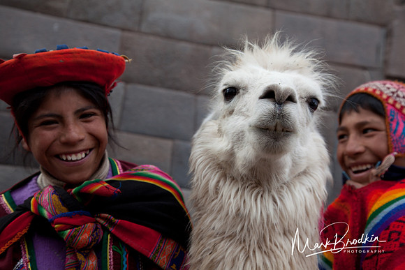 Llama Kids