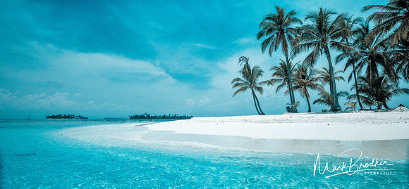 My Paradise