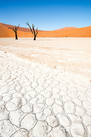 On the Playa