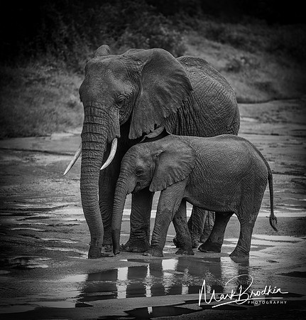 Mother and Son