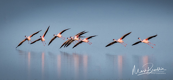 Soaring