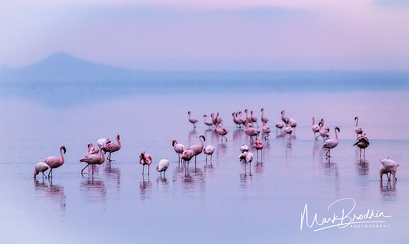 Pastel Sunrise