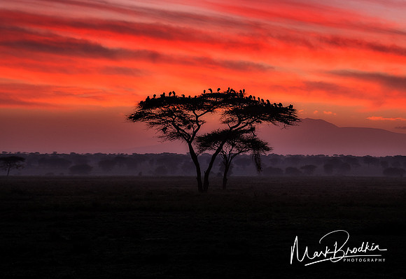 Fire in the Sky