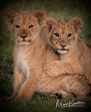Playmates