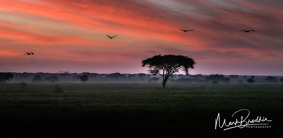 Seregeti Sky